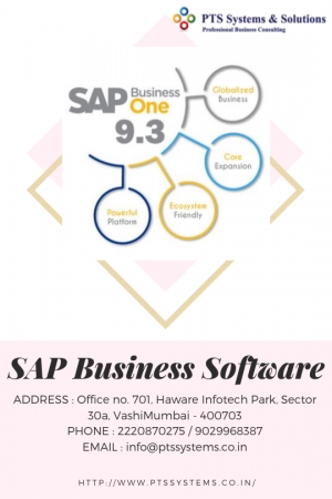 This New Way To Use Sap Business Software